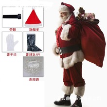 2025�}�Q���˷��b�}�Q��cos�����b���˽�ɫ�����ݳ������ݷ��b��