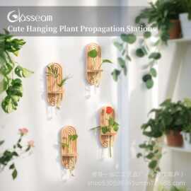 跨境木质壁挂架透明款试管花瓶架实木客厅水培花架玻璃容器收纳架