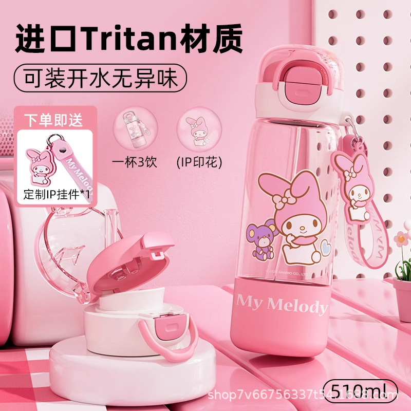 三丽鸥儿童水杯上学专用夏季新款2025高颜值女孩外出便携吸管杯子|undefined