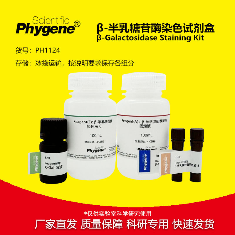 β-半乳糖苷酶染色试剂盒 科研实验专用 100T [PH1124 PHYGENE]
