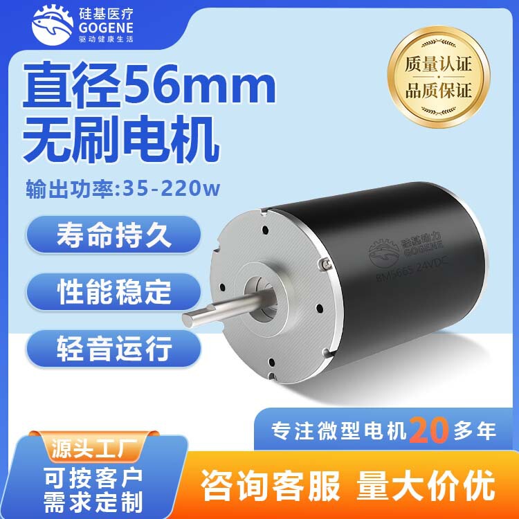 5665 Dc Brushless Motor 24V High Torque Micro Motor Smart Lawn Mower Power Motor Factory Direct Supply