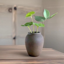 ����ˮ��С��ƿ�մɏ͹Ų����b�Ʒ�[���k��������Gֲ�~�X�ݲ���