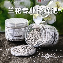 ձMںÿmጷħmƾmīmٻֲw