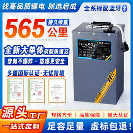 48伏通用电动车锂电池三轮车60V磷酸铁锂宁德刀片大单体72V电池