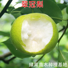 �������� ������� �޽����� 82����� �������ϱ����Nֲ������
