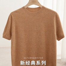 一线成衣针织短袖100%纯羊毛衫男士圆领半袖毛衣大码百搭打底衫