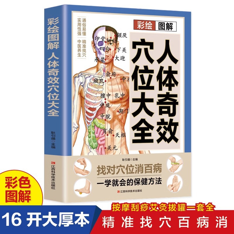 彩绘图解人体奇效穴位大全 人体经络穴位按摩大全书中医养生书籍