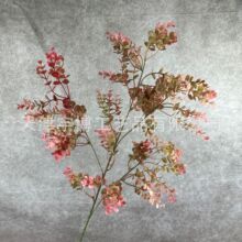 �𻨲� ��c���滨�~�� ��ɫ��ˇ��Y���ò廨�bƵ� �ٻ����l
