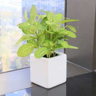 Cross-Border Supply of Simulated Net Grass Ceramic Square Pots, Fake Green Plants, Home Office Decoration Potted Plants Manufacturers Wholesale