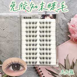 新款免胶免卸知末假睫毛软乎乎灵动圆润高级眼妆原生感睫毛立体