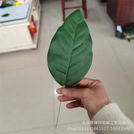 仿真植物仿真花叶配件 带铁线玉兰叶 仿真曼陀叶片 大量批发