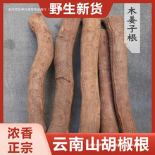 野生山胡椒根老根木姜子根粉树干木棍子新鲜干货云南德宏产