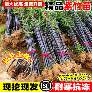 �����粻ȥ�^��������������ͺ�������ͥԺ�����ļ��������F�Gֲ