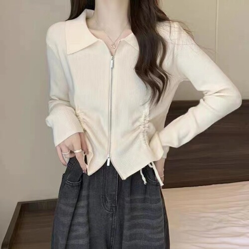 Early Spring Zipper Cord Knitted Sweater for Women 2025 Spring and Autumn New Design Sensory Slim Short Sleeve Cardigan Top