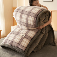 可拆洗双面绒被子加厚牛奶绒单被套秋冬保暖绒被芯被褥子特价包邮