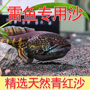 ��ϴ��tɳƫ������ɳ��Ҽtɳ��������ԭ���~���쾰ɳ������ɳ��