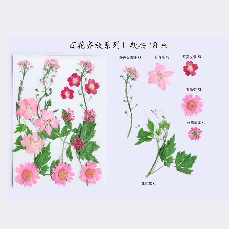 Paquete de material en relieve jardín de infantes en relieve DIY marcador epoxi flor seca caja del teléfono en relieve planta muestra