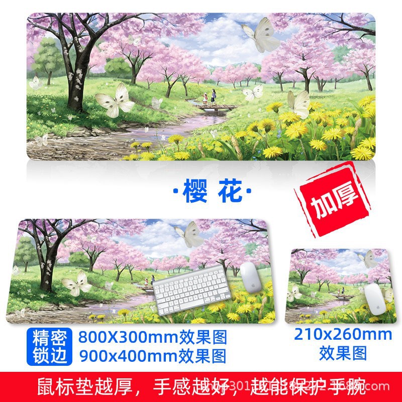 사쿠라 3