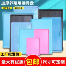 �û\�бP�L���Ό���Ӻ���ʺ�\���\�ױP���|�u؈�û\�ӽӼS�P