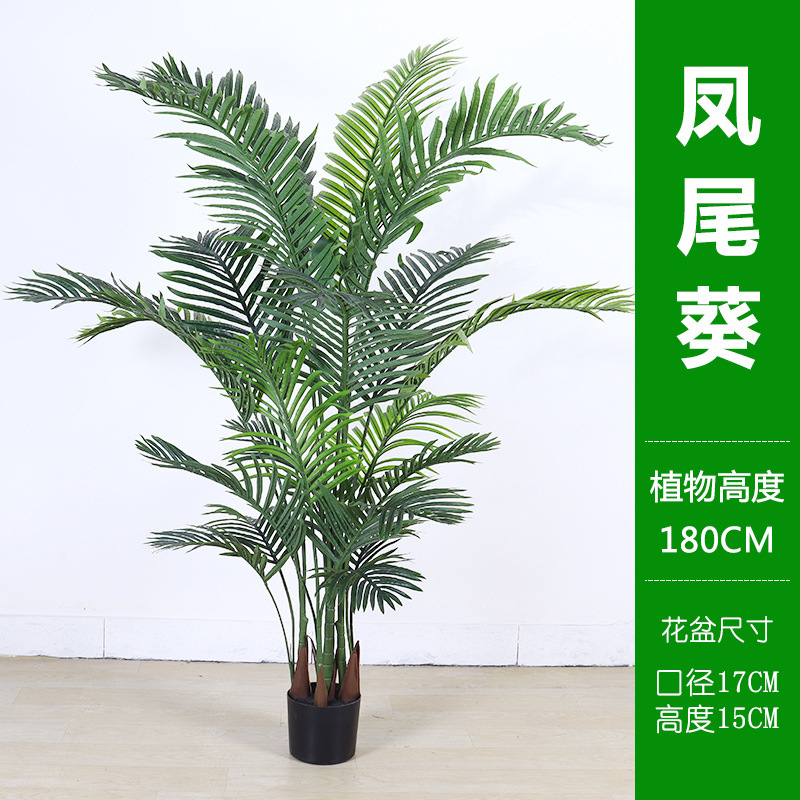 北欧シミュレーション散尾葵盆栽偽植物室内貴妃緑植盆栽鳳尾客間装飾着地置物|undefined