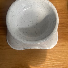 狗狗喂食碗猫咪喂食碗小动物喂食碗