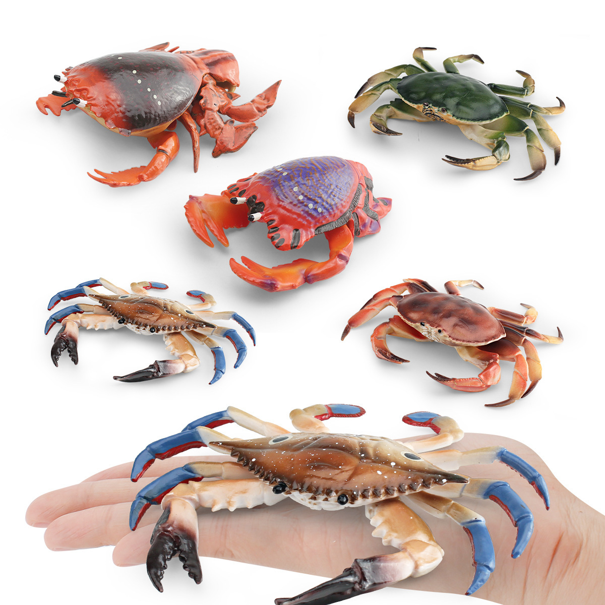 Amazon simulación animal marino cangrejo modelo pan cangrejo de tres ojos natación cangrejo decoración de escritorio adornos estáticos