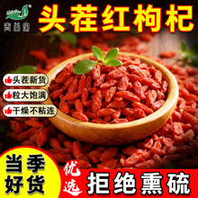 甘肃枸杞大颗粒正泡水泡茶红枸杞无熏染无硫无材
