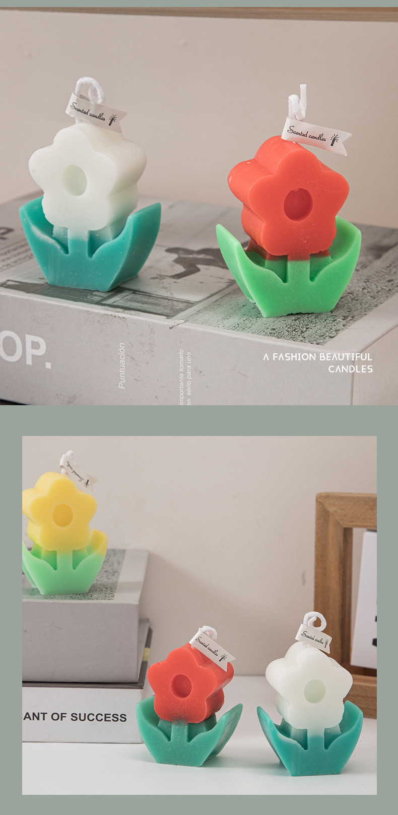 小花蜡烛_08.jpg
