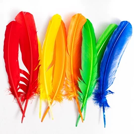 羽毛、羽绒;花边;仿真花