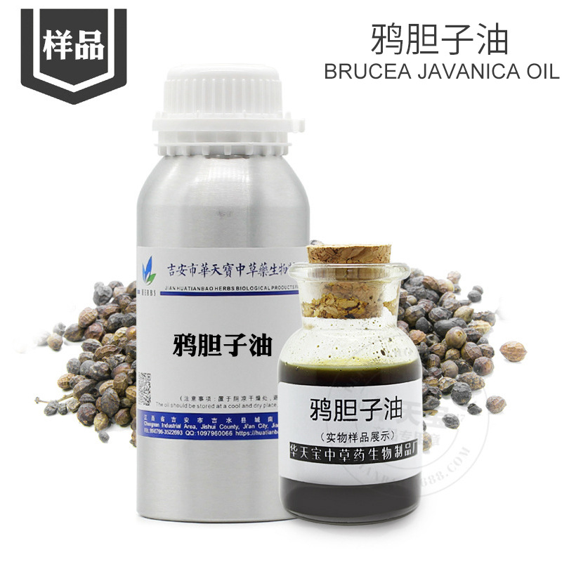 鸦胆子油 样品5ML 冷磨压榨鸦胆子仁油 Brucea javanica Oil