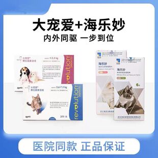 �󌙐�؈�亣�����w����һ�w����������x��؈��؈���\������