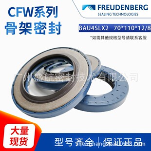 �M�ڵ�FREUDENBERG�Ƶ��Ǽ��ͷ�BAU4SLX2 70*110*12�ܷ�Ȧ