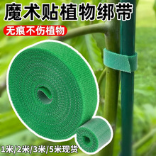 Ҭ�ذ������ɫħ�g�N��������Gֲ���و@ˇ���Բ廨�̶��������l