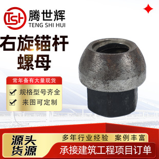 �����^�U��ĸ  �ȏ���ĸ ���^��ĸ �ߏ���8.8���^�U��ĸ m22
