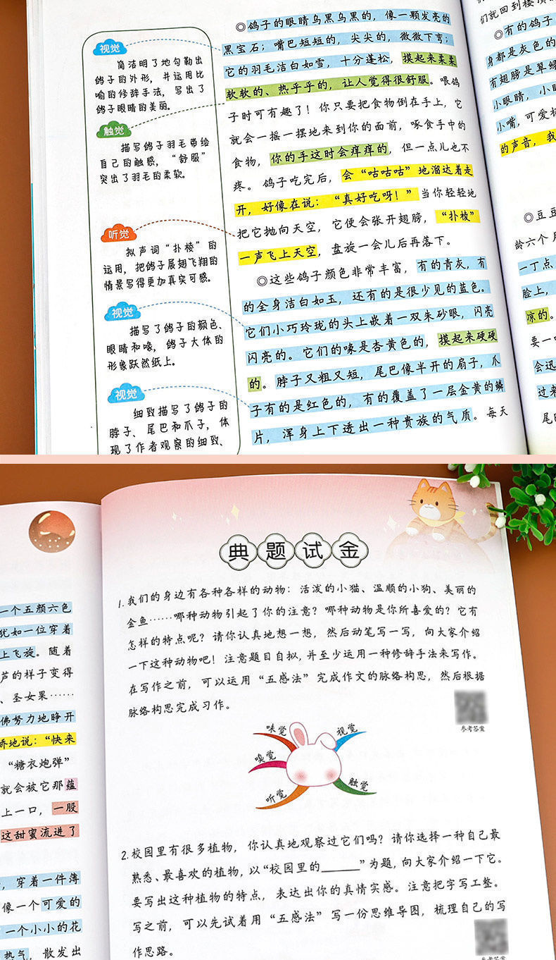 五感法写作文绘景记叙文想象写人状物篇优秀满分作文小学写作素材-阿里巴巴
