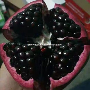 ������֦����ʯ������������ˬ���ѷ�ͻ��˹ܛ��ʯ���ؼ������o