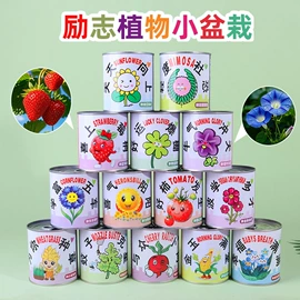 发光玩具;减压玩具;惯性回力玩具