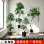 仿真办公室大型客厅绿植