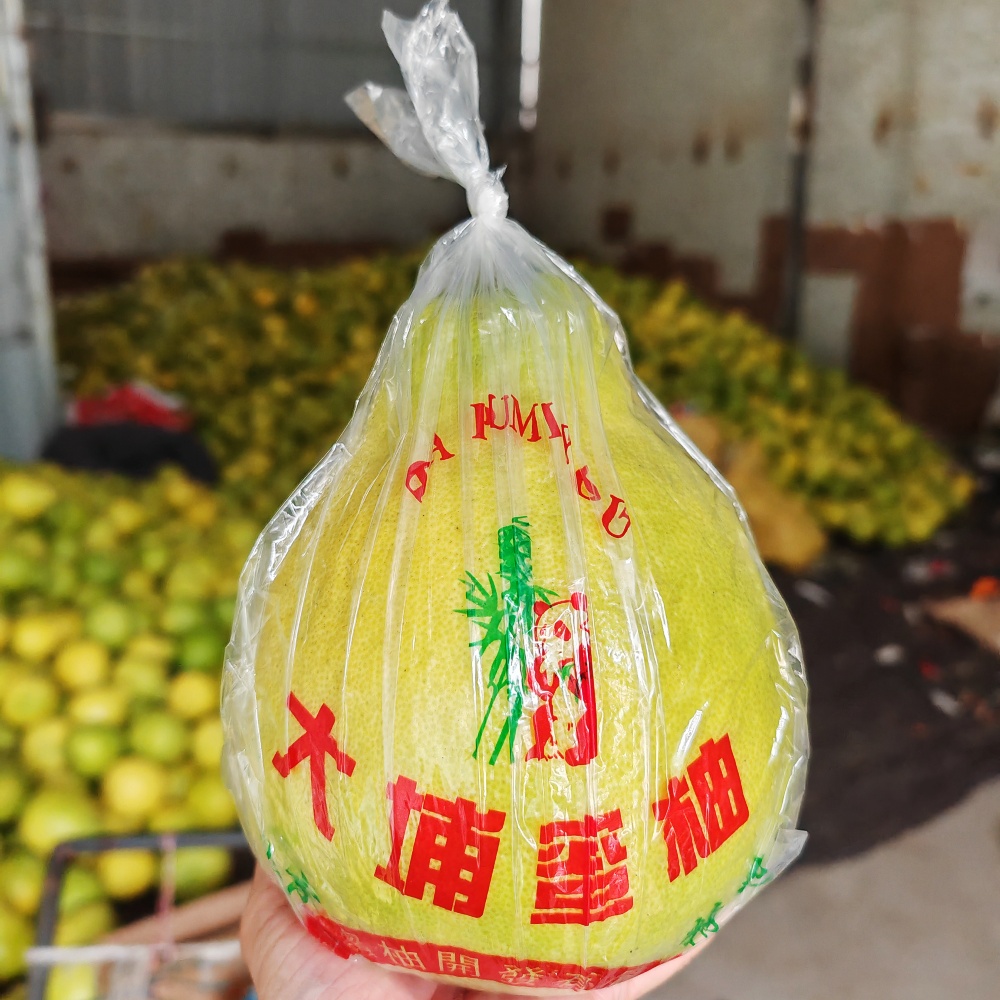 [No contiene pomelo] Embalaje tres carne roja pomelo Majia pomelo fresco azúcar cristalino Shatian pomelo Meizhou Golden Pomelo bolsa de regalo