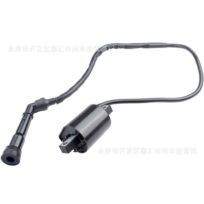 Package Ignition Coil, Alovlanma bobini (Babinalar)