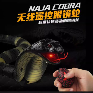�羳늄����M�t�⾀�b�����R�������^�Б��β���b���������