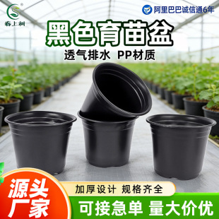 ���l��ɫ��������طNֲ����Ӻ�PP�pɫ��Ҏ���Rȫ���Կ羳���Q