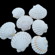 ֹؐDIYͯǉTfؐ⮋bˇgTfؐݚ