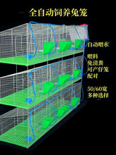 兔笼配对肉兔商品兔育肥笼母兔产仔笼长毛种兔12笼位加粗密兔笼子