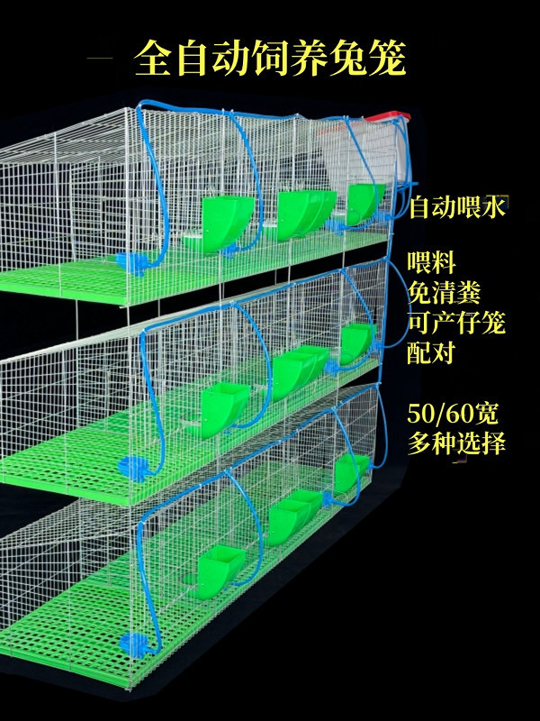 兔笼配对肉兔商品兔育肥笼母兔产仔笼长毛种兔12笼位加粗密兔笼子