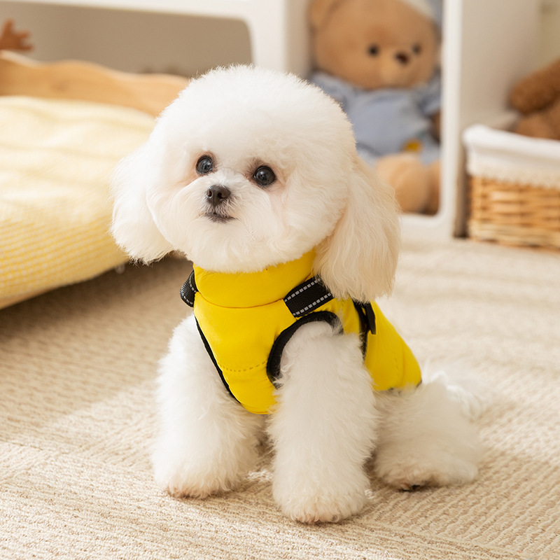 Otoño y invierno perros gruesos abrigo de asalto moda para salir tracción chaleco de algodón gato Teddy ropa de mascotas