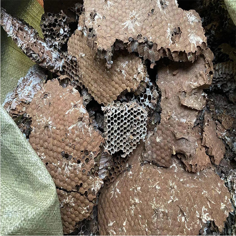 Dried Honeybee Nest Feng Fang 500g Wild Wasp Hive Whole Piece Traditional TCM Herb quality and texture