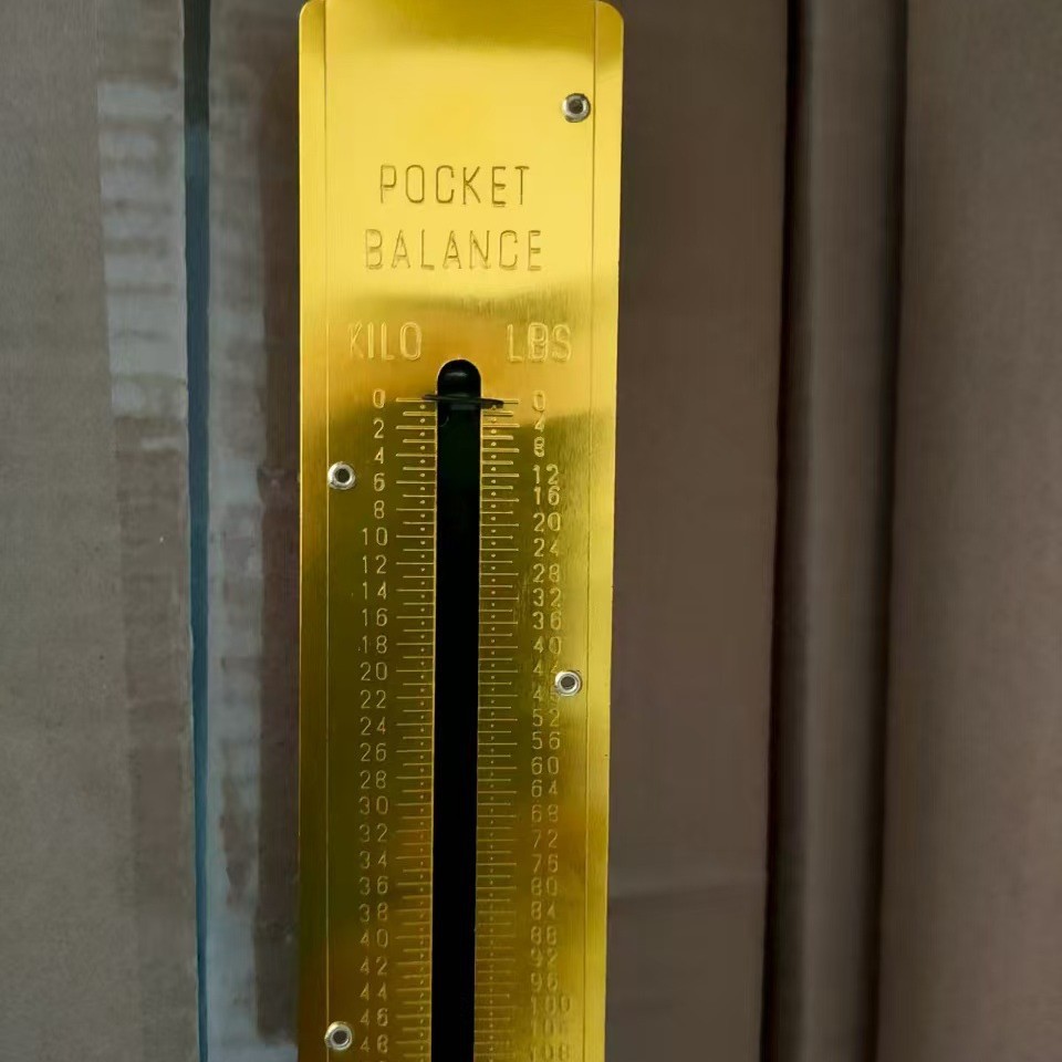 50 kg gancho de escala de Myanmar unidad de escala de resorte escala de mano escala de equipaje escala mecánica