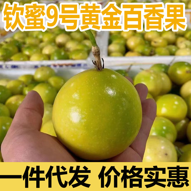 Guangxi Passion Fruit 2.5kg Free Shipping Large Fruit Golden Honey Passion Fruit #9 Fresh Summer Fruit Ultra Sweet Fresh Fruit Gift Box