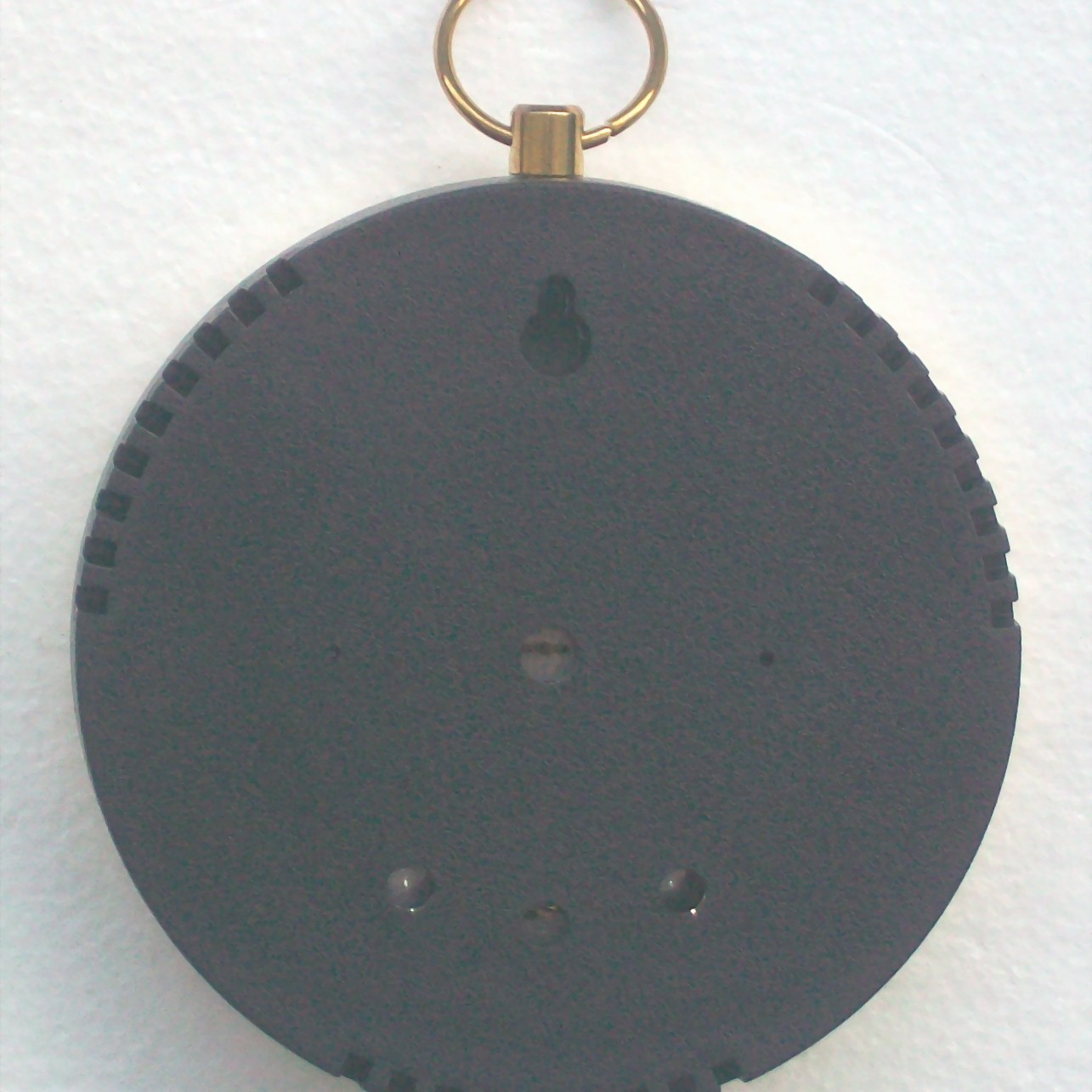 TH9100-10CMֱ����ʪ�ȼƣ����İ����ɫ